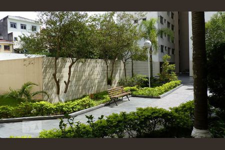 Apartamento para alugar com 50m², 2 quartos e 1 vagaÁrea Comum 