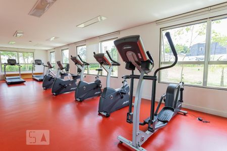 Área comum - Academia de apartamento para alugar com 2 quartos, 70m² em Usina Piratininga, São Paulo