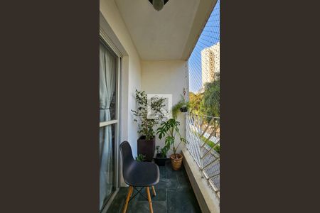 Varanda da Sala de apartamento para alugar com 2 quartos, 70m² em Vila Sofia, São Paulo