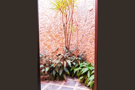 Jardim de casa para alugar com 3 quartos, 220m² em Jaraguá , Belo Horizonte