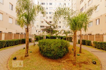 Apartamento para alugar com 62m², 3 quartos e 1 vaga Apartamento para alugar com 62m², 3 quartos e 1 vagaÁrea comum