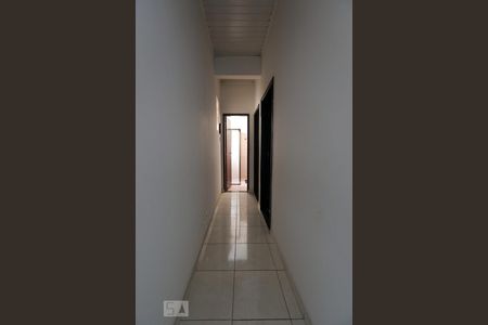 Corredor de apartamento para alugar com 2 quartos, 80m² em Parque São Jorge, São Paulo