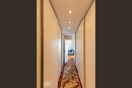 Apartamento para alugar com 253m², 4 quartos e 4 vagas Apartamento para alugar com 253m², 4 quartos e 4 vagasCloset da suíte 1