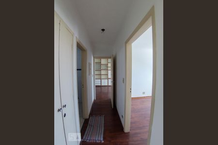 Corredor de apartamento para alugar com 3 quartos, 97m² em Jardim Novo Santo Amaro, São Paulo
