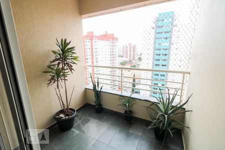Varanda  de apartamento à venda com 2 quartos, 66m² em Vila Gilda, Santo André
