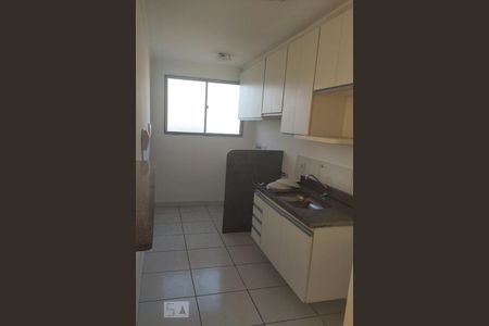 Cozinha de apartamento para alugar com 2 quartos, 47m² em Loteamento Parque São Martinho, Campinas