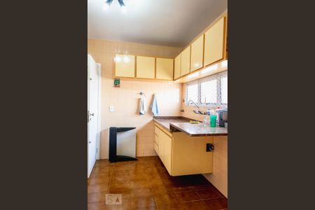 Apartamento à venda com 125m², 3 quartos e sem vaga Apartamento à venda com 125m², 3 quartos e sem vagaCozinha