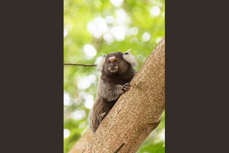 Apartamento à venda com 48m², 2 quartos e sem vagaÁrea comum