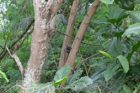 Apartamento à venda com 48m², 2 quartos e sem vagaÁrea comum