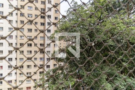 Vista do Quarto 1 de apartamento para alugar com 2 quartos, 41m² em Jardim São Savério, São Paulo
