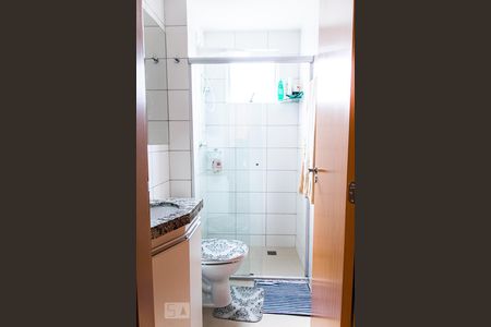 Banheiro de apartamento para alugar com 2 quartos, 48m² em Bandeirantes (pampulha), Belo Horizonte