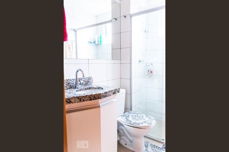 Banheiro de apartamento para alugar com 2 quartos, 48m² em Bandeirantes (pampulha), Belo Horizonte