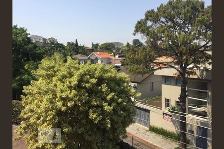 Casa à venda com 600m², 4 quartos e 6 vagasJardim