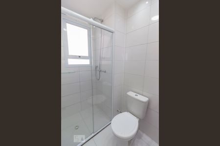 Banheiro de apartamento para alugar com 2 quartos, 43m² em Bom Retiro, São Paulo