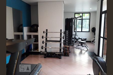 Área comum - Academia de apartamento à venda com 4 quartos, 269m² em Parque Bairro Morumbi, São Paulo