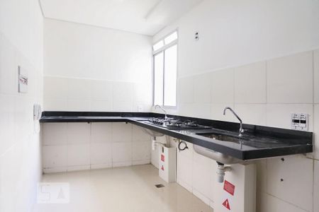 cozinha de apartamento para alugar com 2 quartos, 46m² em Santa Amélia, Belo Horizonte