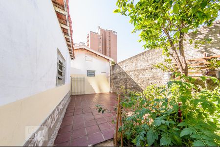 Casa à venda com 316m², 3 quartos e 2 vagas Casa à venda com 316m², 3 quartos e 2 vagasQuintal