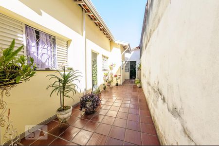 Casa à venda com 316m², 3 quartos e 2 vagas Casa à venda com 316m², 3 quartos e 2 vagasQuintal - Corredor