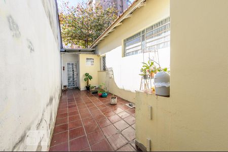 Casa à venda com 316m², 3 quartos e 2 vagas Casa à venda com 316m², 3 quartos e 2 vagasQuintal - Corredor