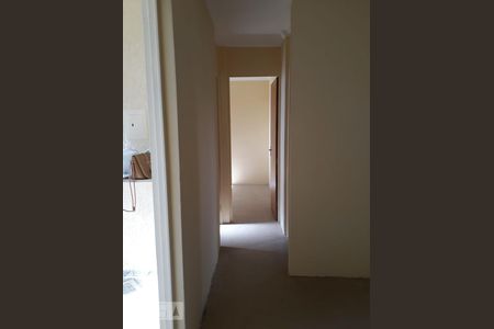 corredor de apartamento para alugar com 2 quartos, 50m² em Vila Padre Manoel de Nóbrega, Campinas