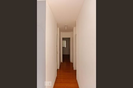 Corredor  de apartamento para alugar com 3 quartos, 75m² em Vila Mascote, São Paulo
