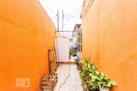 Casa para alugar com 5m², 2 quartos e sem vagaQuintal