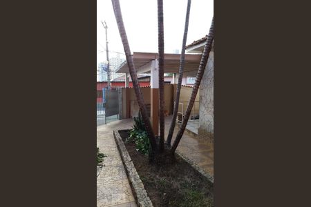 Quintal de casa para alugar com 2 quartos, 116m² em Vila Osasco, Osasco