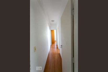 Corredor de apartamento para alugar com 2 quartos, 60m² em Sagrada Família, Belo Horizonte