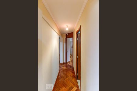 Corredor de apartamento para alugar com 3 quartos, 70m² em Jardim Taquaral, São Paulo