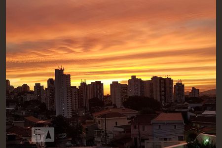 Vista Pôr do Sol de apartamento para alugar com 2 quartos, 63m² em Vila Romana, São Paulo