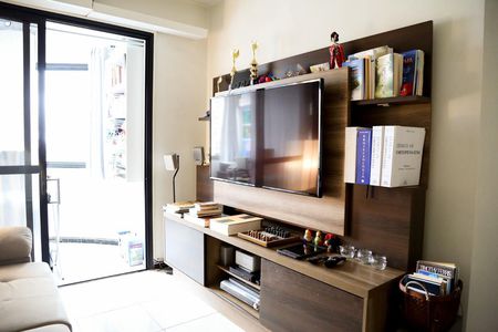 Sala de apartamento para alugar com 2 quartos, 56m² em Vila Santa Catarina, São Paulo