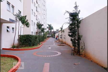 Apartamento para alugar com 50m², 2 quartos e 1 vaga Apartamento para alugar com 50m², 2 quartos e 1 vagaÁrea Comum
