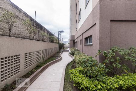 Apartamento para alugar com 68m², 2 quartos e 1 vaga Apartamento para alugar com 68m², 2 quartos e 1 vagaÁrea comum