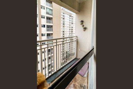 Varanda da Sala de apartamento para alugar com 2 quartos, 48m² em Ponte Grande, Guarulhos