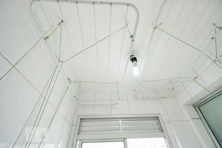 Detalhe área de serviço de apartamento para alugar com 3 quartos, 60m² em Vila Bela, São Paulo