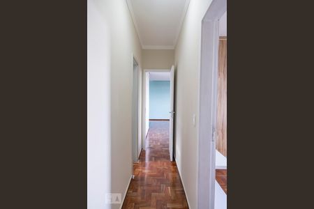 Corredor de apartamento para alugar com 3 quartos, 86m² em Coração Eucarístico, Belo Horizonte