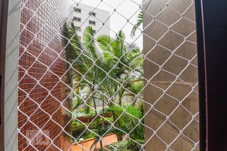 Apartamento para alugar com 77m², 2 quartos e 1 vagaVista do Quarto 1