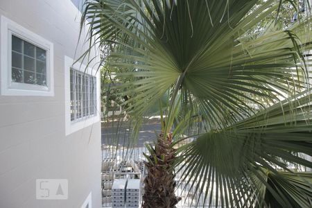 Vista da cozinha de apartamento para alugar com 1 quarto, 32m² em Marechal Rondon, Canoas