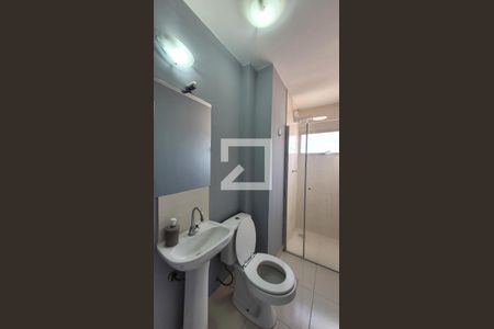 Banheiro de apartamento para alugar com 1 quarto, 65m² em Botafogo, Campinas