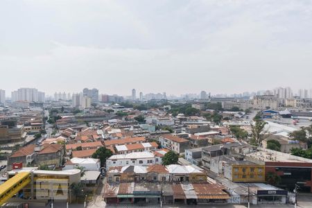Vista de apartamento à venda com 1 quarto, 34m² em Cambuci, São Paulo