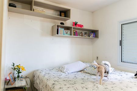 Apartamento para alugar com 74m², 3 quartos e sem vagaSuíte