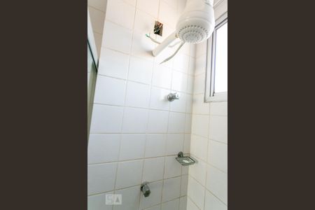 Banheiro de apartamento para alugar com 2 quartos, 50m² em Santa Cruz, Belo Horizonte