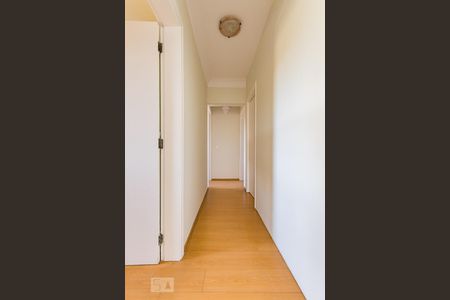 Corredor de apartamento para alugar com 3 quartos, 140m² em Notre Dame, Campinas