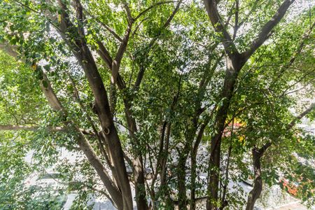 Apartamento à venda com 35m², 2 quartos e sem vagaVista do Quarto 2