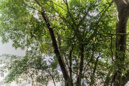 Vista do Quarto 1 de apartamento à venda com 2 quartos, 35m² em Consolação, São Paulo
