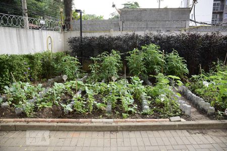 Apartamento para alugar com 70m², 2 quartos e 1 vagaÁrea comum