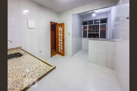 Cozinha de apartamento para alugar com 2 quartos, 56m² em Pitangueiras, Rio de Janeiro
