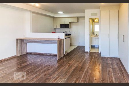 Studio de kitnet/studio para alugar com 1 quarto, 48m² em Vila Cruzeiro, São Paulo