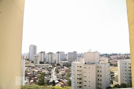 Vista da Varanda de apartamento para alugar com 2 quartos, 52m² em Vila Paulista, São Paulo