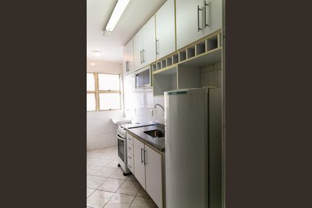 Cozinha de apartamento para alugar com 2 quartos, 50m² em Ipiranga, São Paulo
